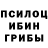 Галлюциногенные грибы мицелий Dorothy Wade